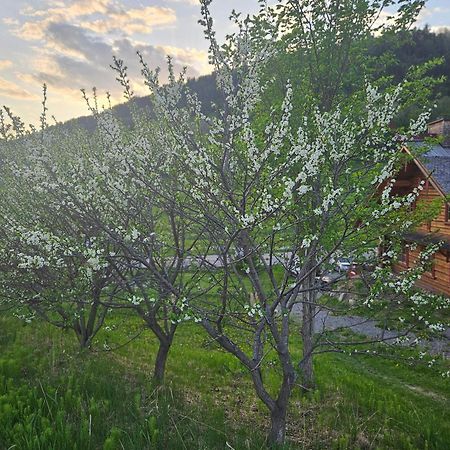 Le Repaire Viking Bed and Breakfast Sainte-Rose-du-Nord Exterior foto